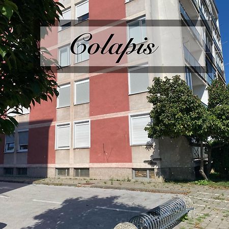 Apartman Colapis- Self Check In, Free Parking, Premium Location! カルロヴァッツ エクステリア 写真