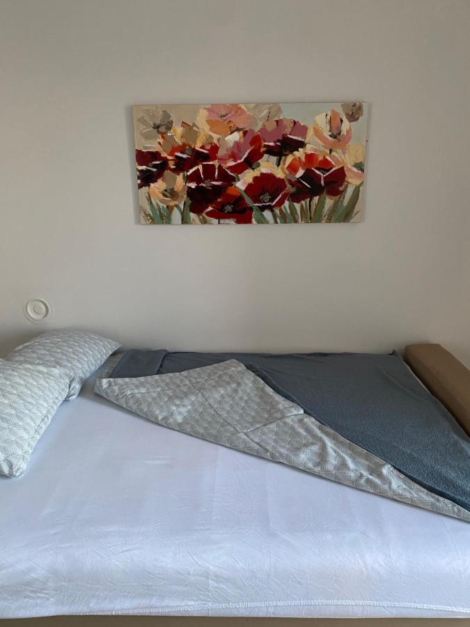 Apartman Colapis- Self Check In, Free Parking, Premium Location! カルロヴァッツ エクステリア 写真