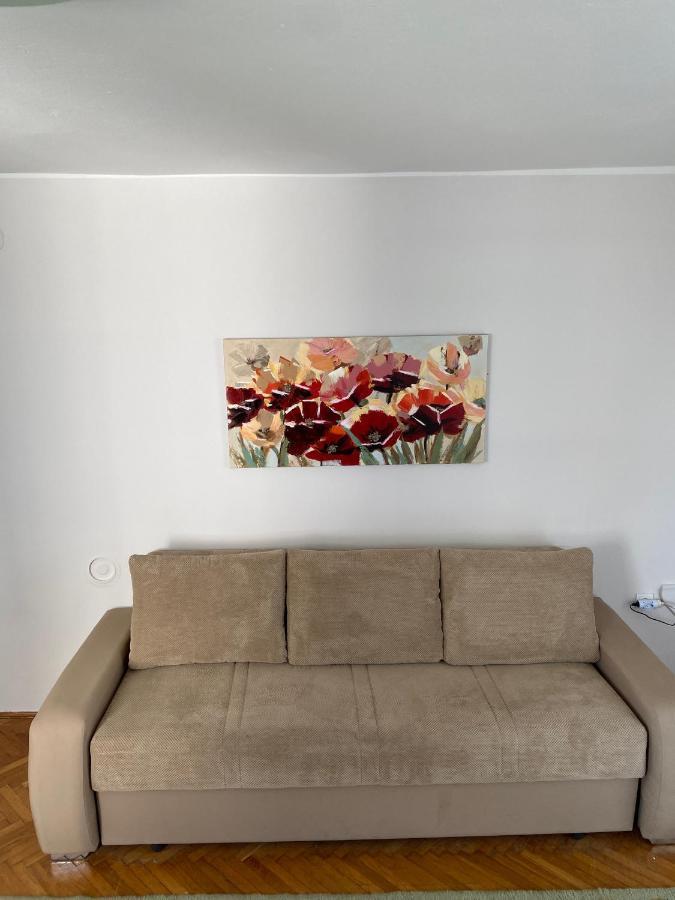 Apartman Colapis- Self Check In, Free Parking, Premium Location! カルロヴァッツ エクステリア 写真
