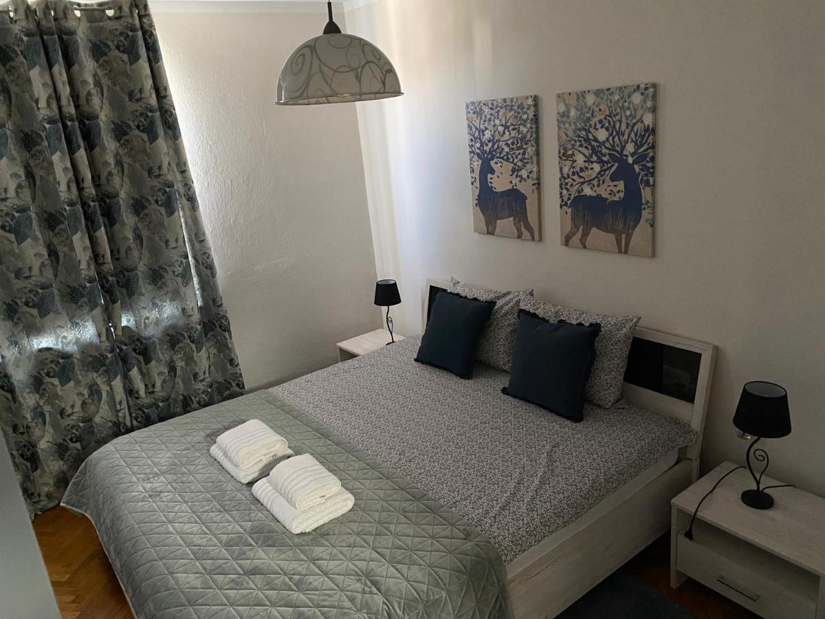 Apartman Colapis- Self Check In, Free Parking, Premium Location! カルロヴァッツ エクステリア 写真