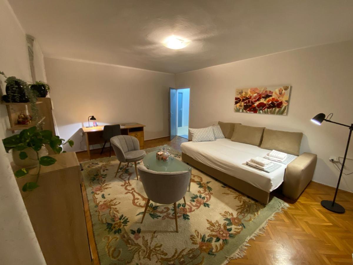 Apartman Colapis- Self Check In, Free Parking, Premium Location! カルロヴァッツ エクステリア 写真