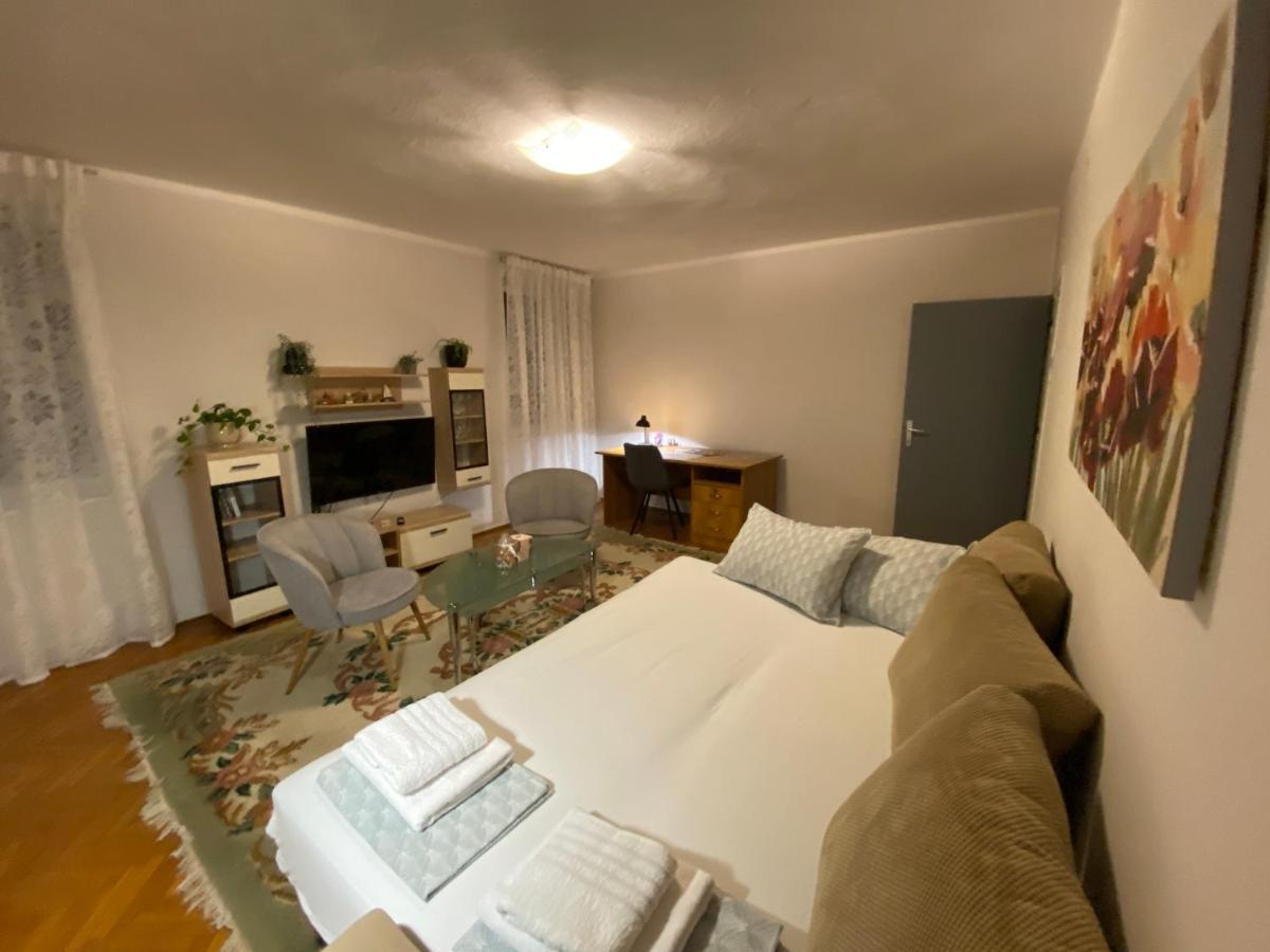 Apartman Colapis- Self Check In, Free Parking, Premium Location! カルロヴァッツ エクステリア 写真