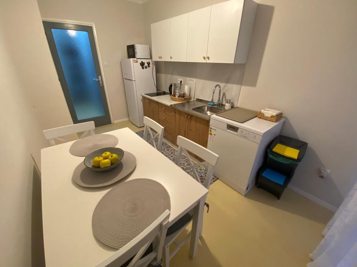 Apartman Colapis- Self Check In, Free Parking, Premium Location! カルロヴァッツ エクステリア 写真